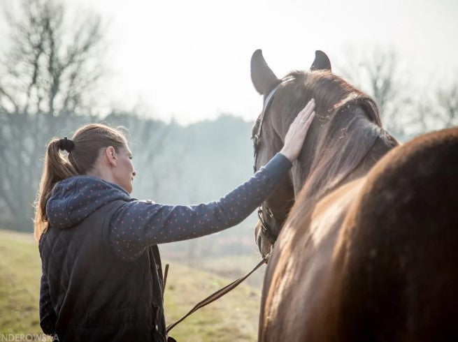 In hartsverbinding MET je paard - individueel op jouw locatie